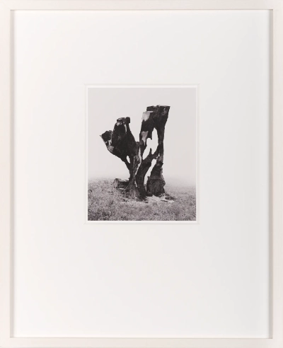 …a really, really, long chess move, 2020